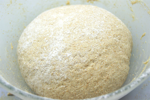 the kneaded dough
