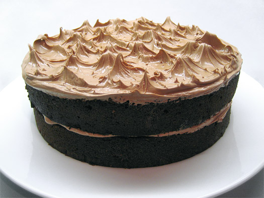 the iced cake  Chocolate Cake chocolate cake10