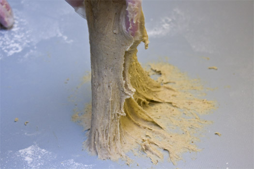 kneading the dough
