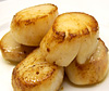 Scallops