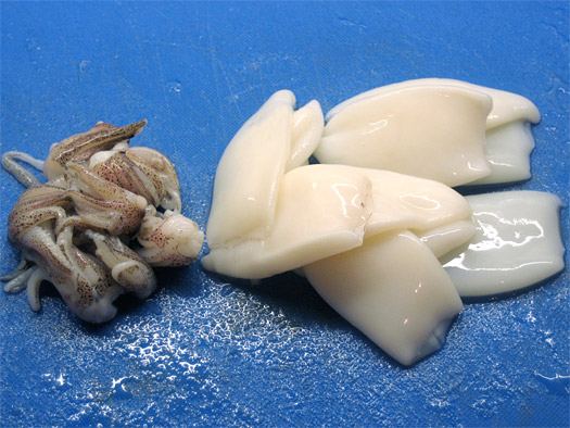 preparing the squid
